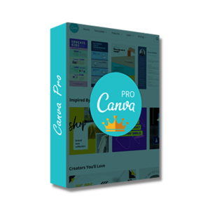 Canva Pro Admin Panel – 500 Users